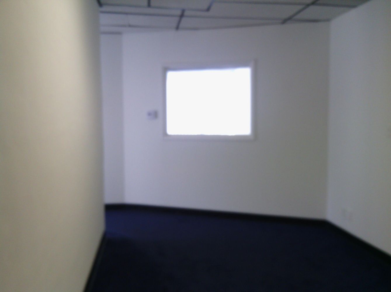 RECEPTION, 2 LARGE OFFICES. CORNER SUITE. LONG OR SHORT TERM.